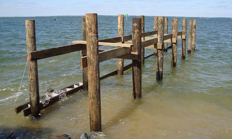 Pilings for pier construction