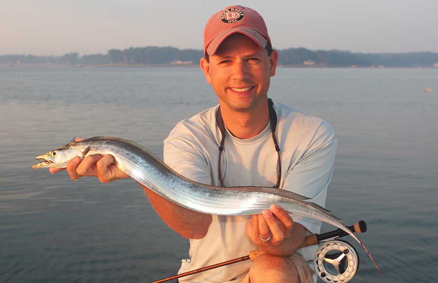 Cutlass Fish from Chesapeake Bay