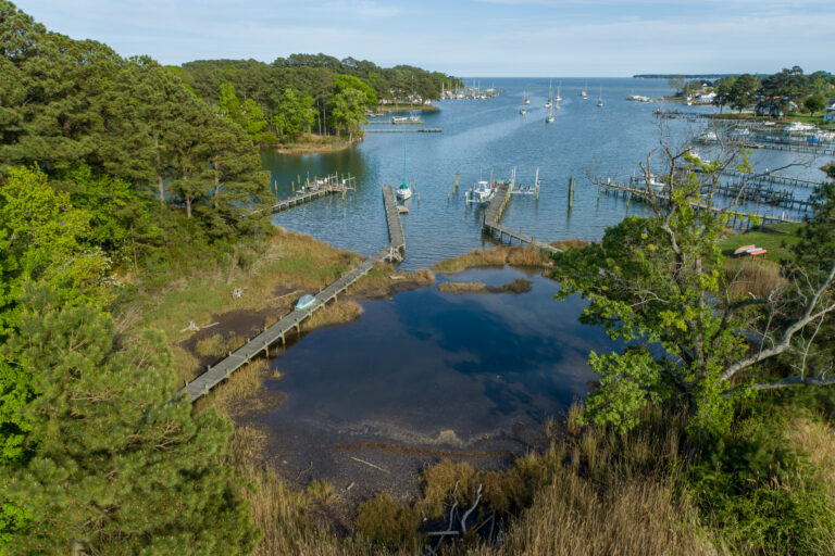 DJI_0275-HDR