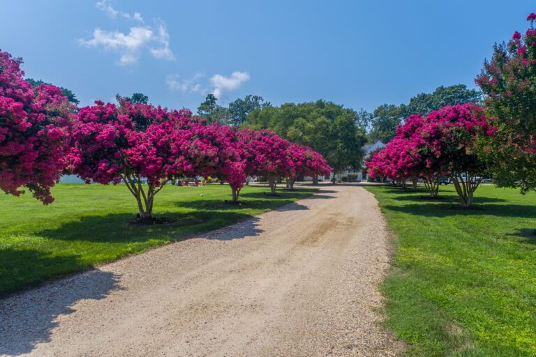 DJI_0463-HDR