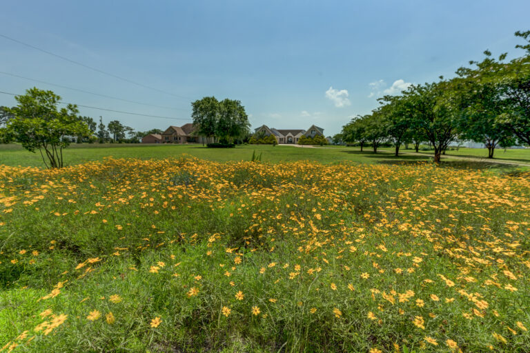 3308 Windmill Pt Rd0841