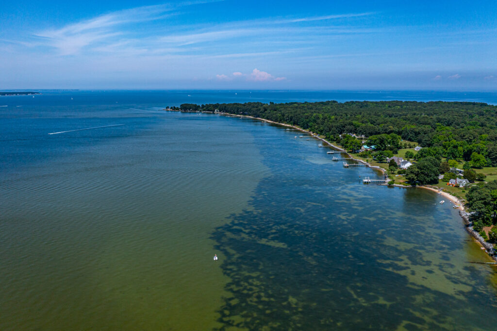 Aerials (13 of 57)