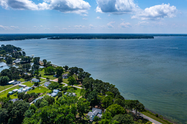 Aerials (8 of 57)