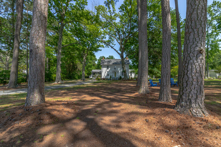 Exteriors (4 of 21)