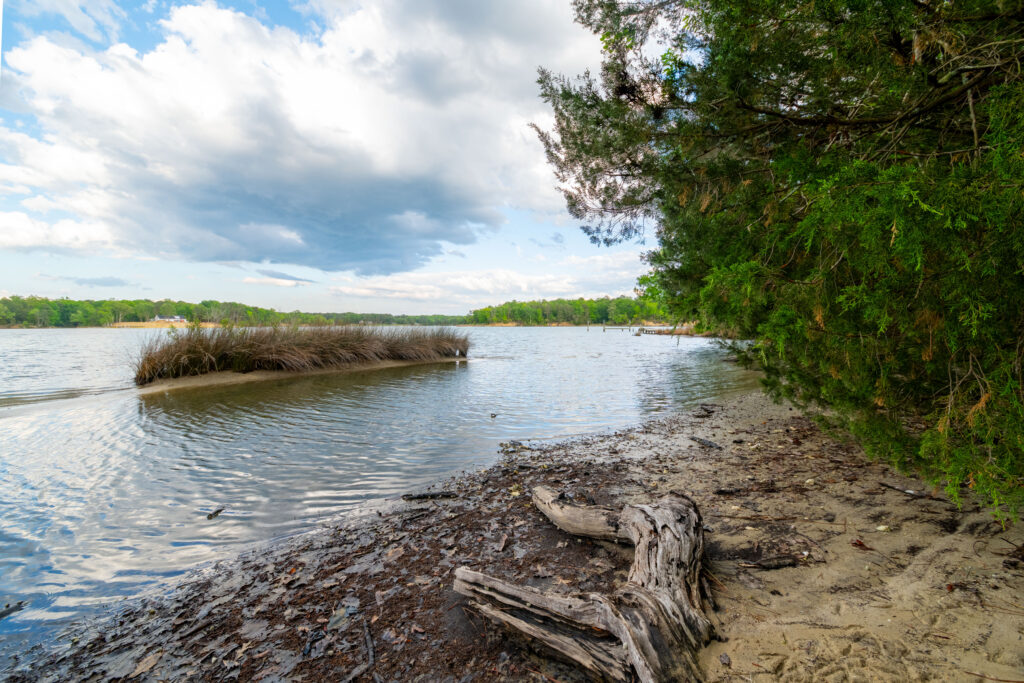 DS1_8501-HDR