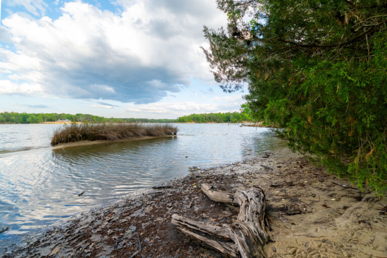 DS1_8501-HDR