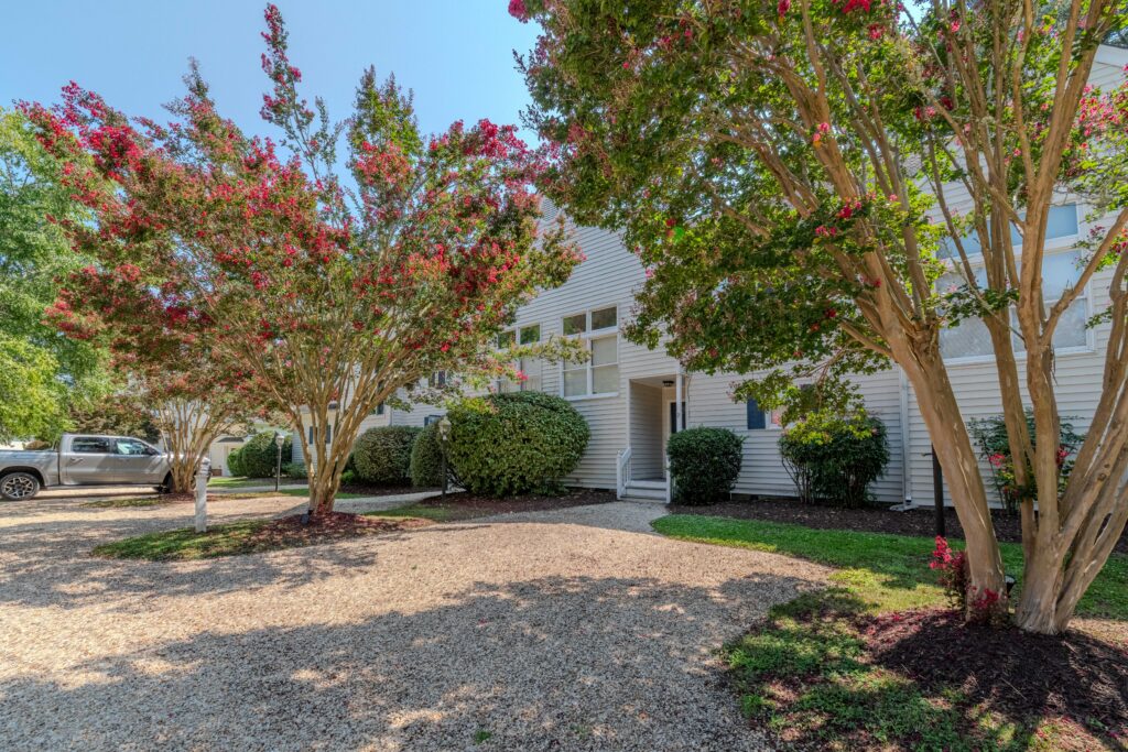 DS1_0350-HDR
